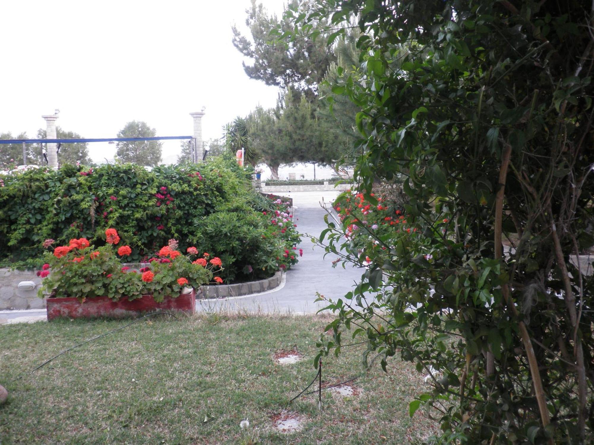 Lagada Beach Hotel Adamantas  Exterior photo